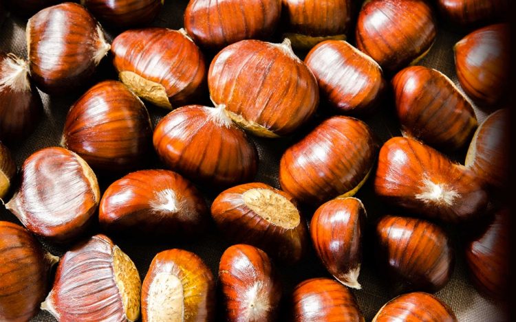 Die Edelkastanie von San Zeno: nicht nur Dop, sondern auch Bio