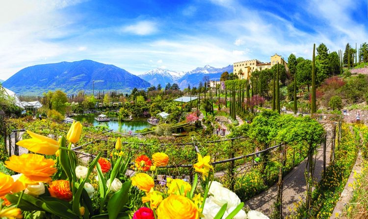 Frühjahrserwachen in den Gärten von Schloss Trauttmansdorff