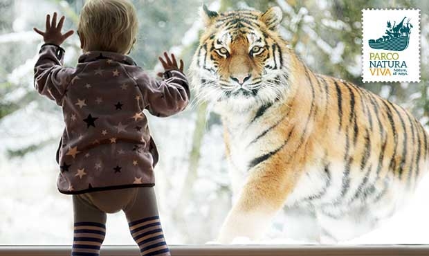 Winterzauber im Parco Natura Viva