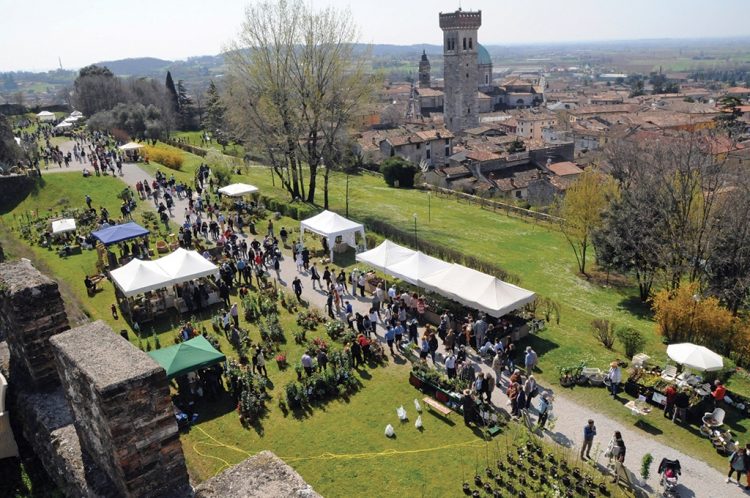 Seltene Pflanzen und Blumen in Lonato