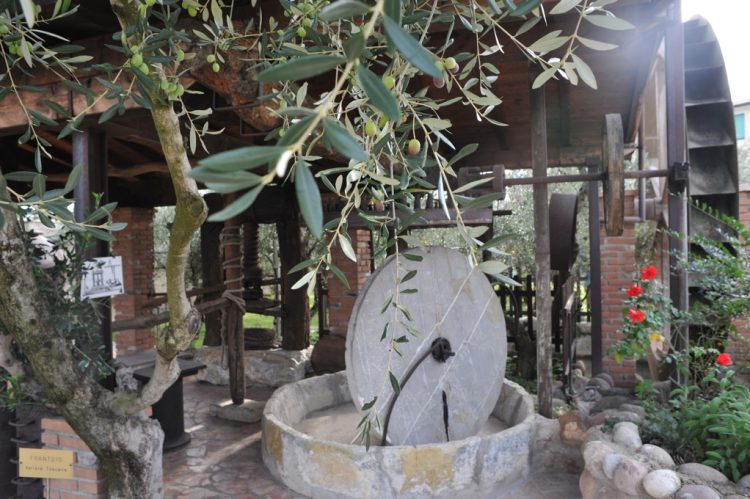 Ölmühle Turri feiert sein Olivenöl