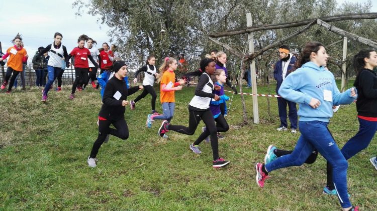 20. Geländelauf von Bardolino – Trophäe „Az. Agricola Costadoro“