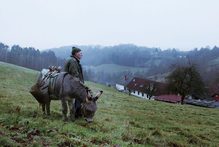 Film Festival im Lessinia-Gebirge