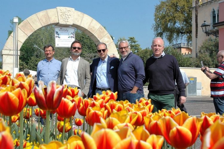 Tulpenblüte am Seeufer von Bardolino