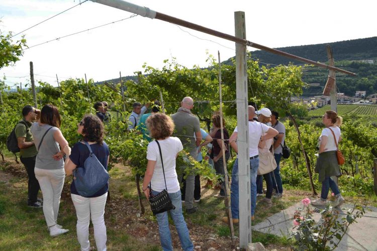 In Negrar laufen die Vorbereitungen zur 14. Magnalonga