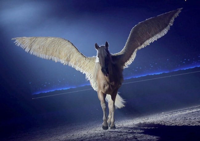 120. Fieracavalli in Verona