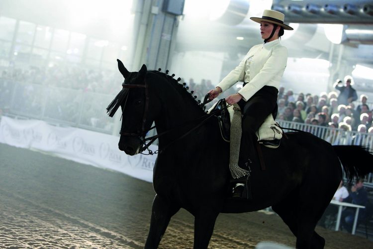 Verona: Eröffnung von 123. Fieracavalli