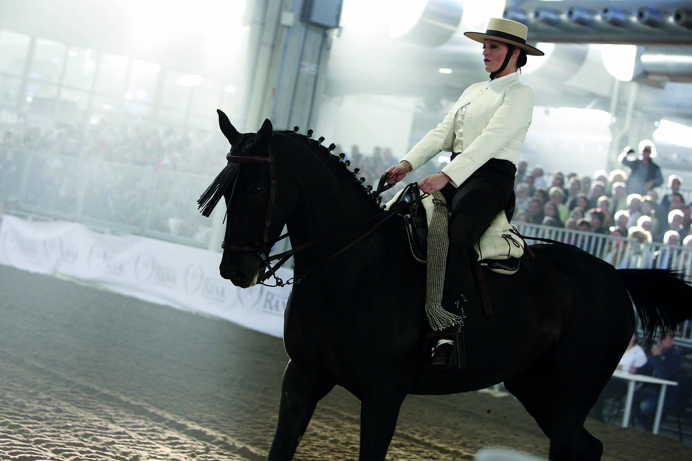 Verona, Fieracavalli