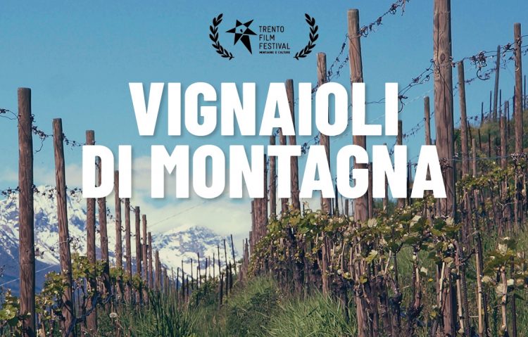 Bergwinzer: Wein und Kino treffen sich in Bologna