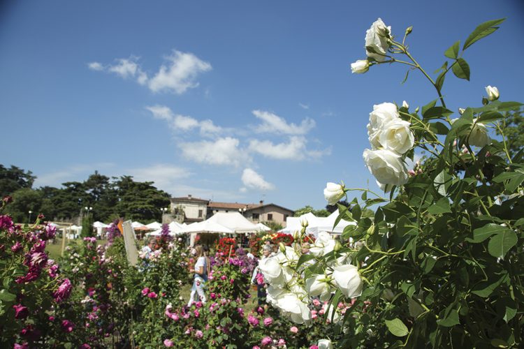 Vom 19. bis 21. Mai findet wieder die Franciacorta in Fiore statt: hier das Programm