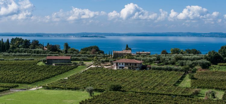 Bardolino-Wanderung: 100 km durch die Weinberge der Bardolino-Hügel