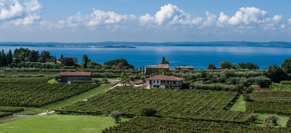 Bardolino Vigne