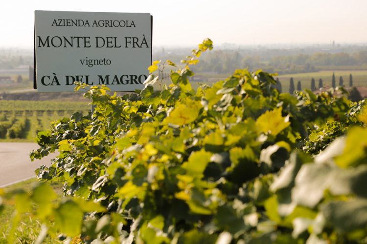 Wine Spectator und Forbes krönen Custoza-Wein Cà del Magro