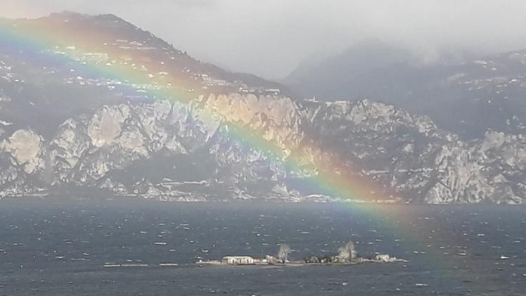 Trimelone Regenbogen