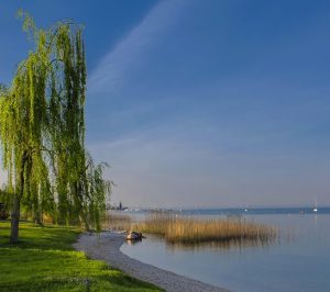 postkarten-vom-gardasee-3