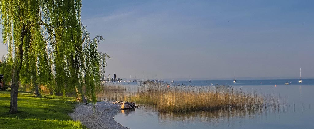 Bardolino: ein zweijähriges Projekt zum Schutz der Schilfgürtel des Sees