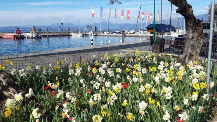 Gastronomie, Kunsthandwerk und ein Schokoladenei-Workshop in Bardolino