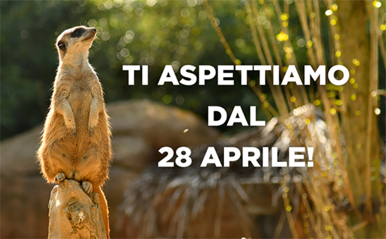 Der Natura Viva Park von Bussolengo öffnet wieder am Mittwoch, 28. April