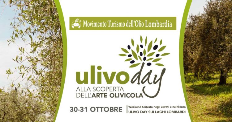 Ulivo-Day im Frantoio Manestrini