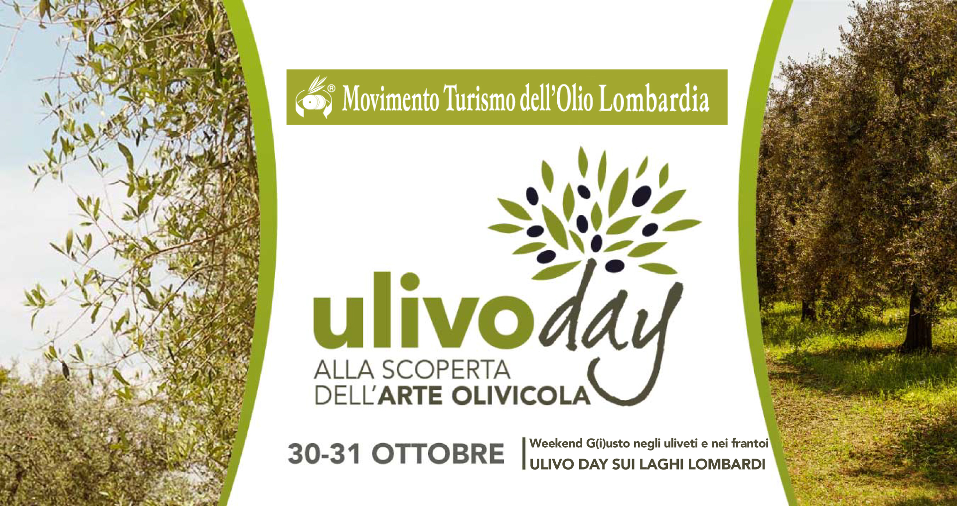 Ulivo-Day im Frantoio Manestrini