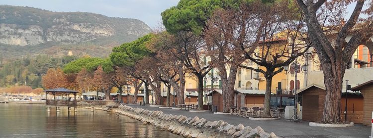 Garda: Weihnachten unter den Olivenbäumen