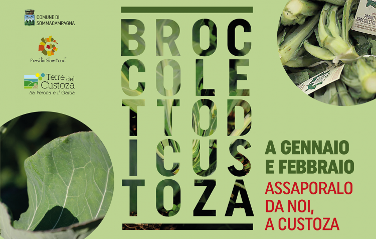 Broccoletto di Custoza: noch drei Verkostungsabende stehen auf dem Programm
