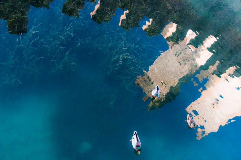 Sirmione Preis für Fotografie: Alle Gewinner