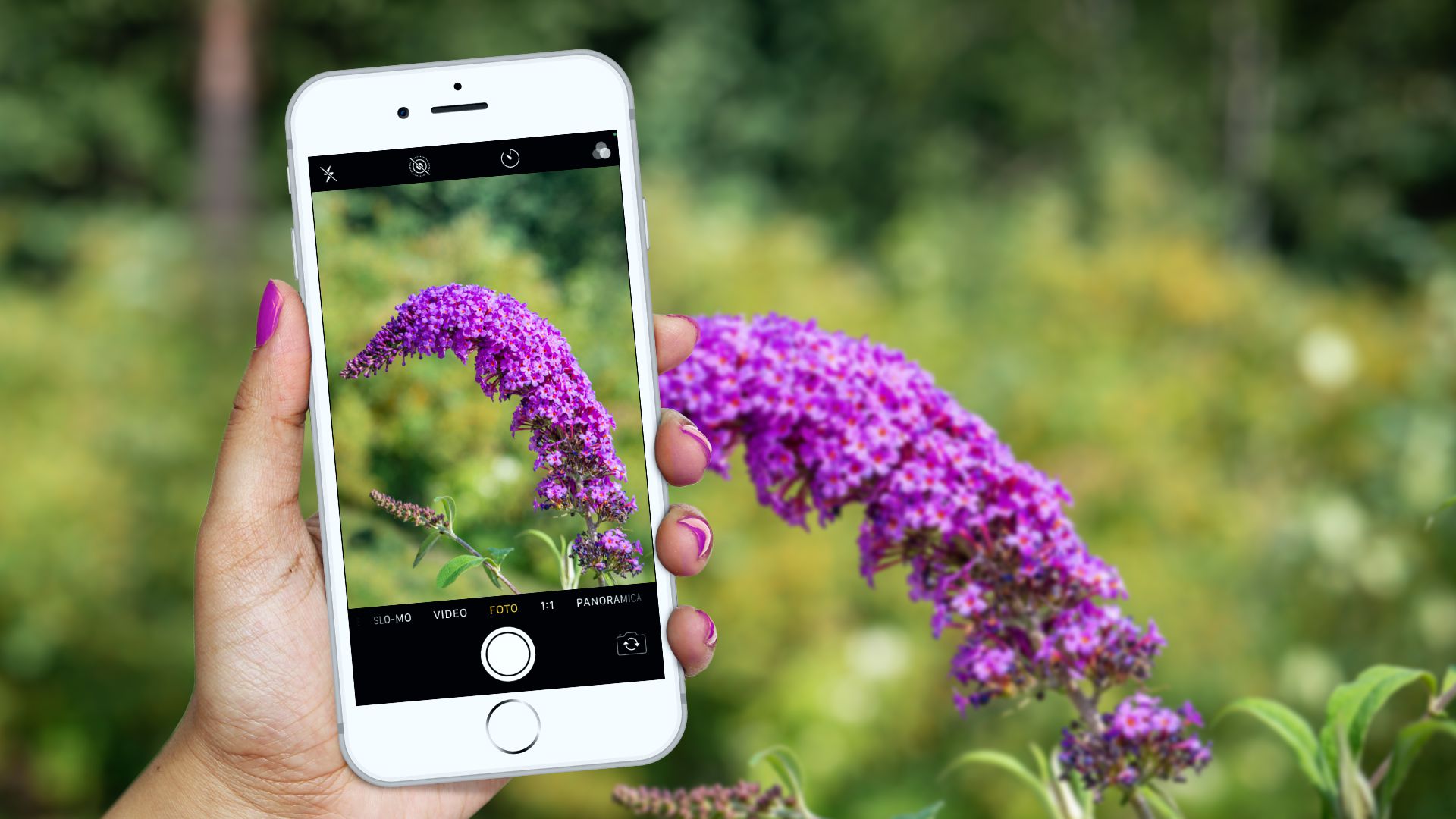 Die „City Nature Challenge“ kehrt ab 29. April nach Trient zurück