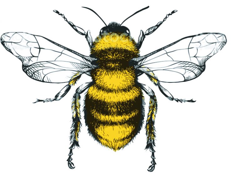 Passirano, ein Monat der Initiativen, der im Mai den Bienen gewidmet ist