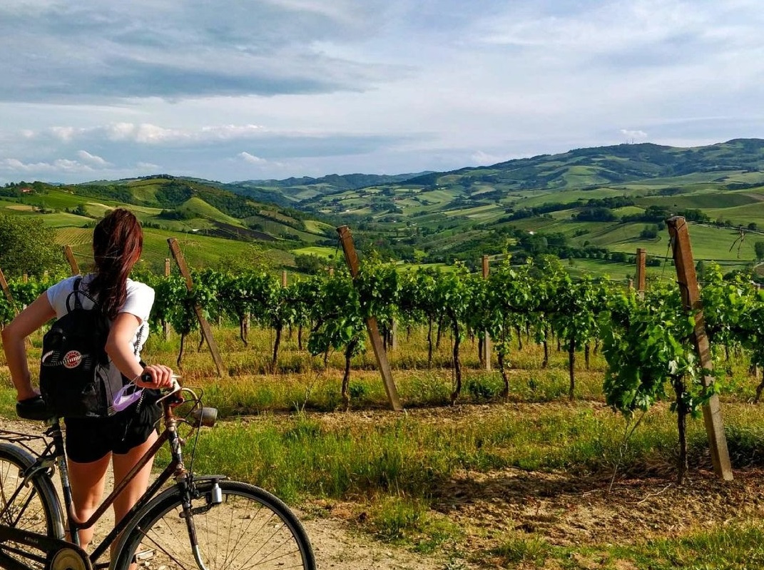 In Castenedolo am 28. Mai eine Reise durch Weinberge und Kultur mit Verkostungen