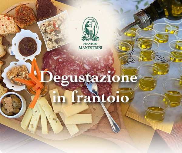 Frantoio Manestrini: ein einzigartiges Erlebnis, um natives Olivenöl extra zu entdecken