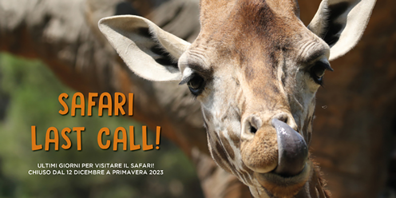 11. Dezember, letzter Öffnungstag für den Safari-Bereich im Parco Natura Viva
