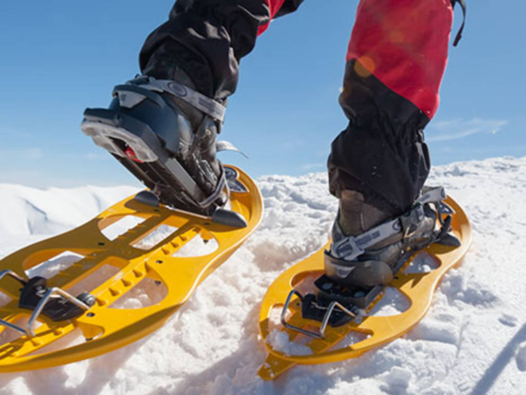 In Ferrara di Monte Baldo Schneeschuhwandern und Waldbaden am Sonntag, den 11 Dezember