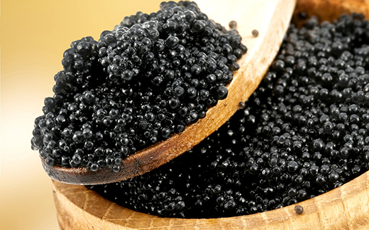 Überraschung! Nur einen Steinwurf vom Gardasee entfernt wird hochwertiger Kaviar hergestellt
