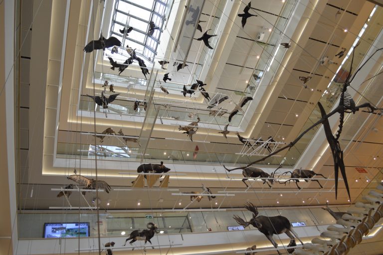 Trient, 22 Juli: MUSE feiernt Zehn Jahre MUSE