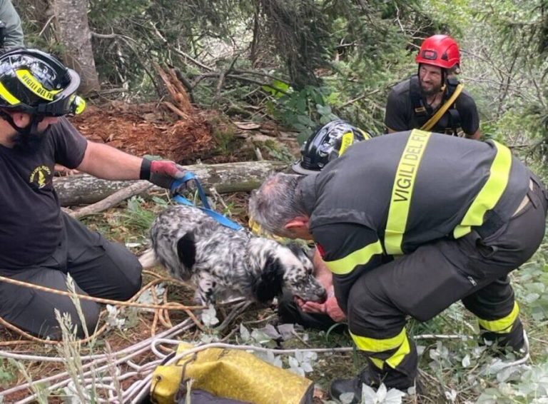 Happy End für Tina, den Hund, der am Monte Baldo in eine Klippe gestürzt ist