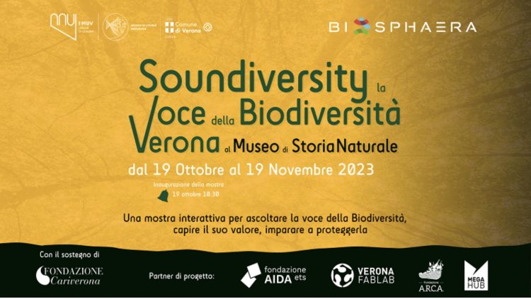 Verona: Die Stimmen der Natur im Naturkundemuseum