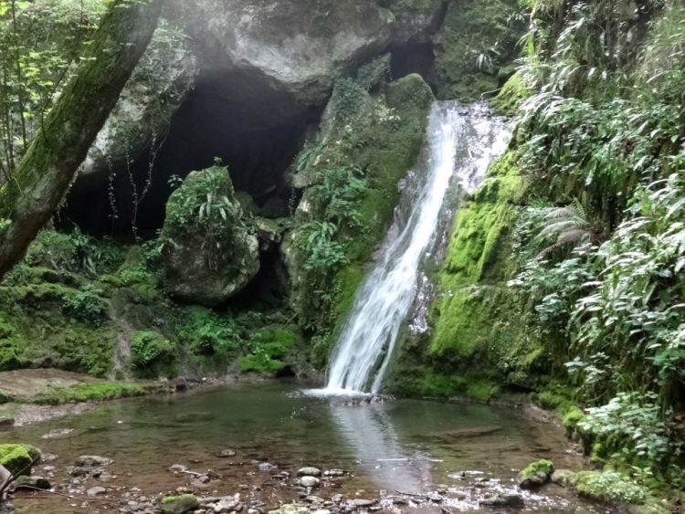 Sonntag, 14. Januar Ausflug ins Valsorda, um die winterliche Natur des Gardasees zu entdecken