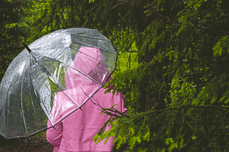 Wetter, in Venetien Zustand der „Vorsicht“ für starken Wind und Frost