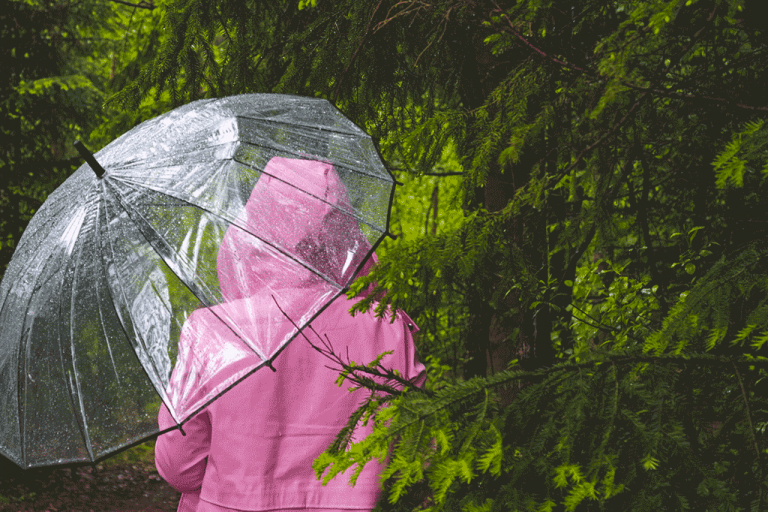 Wetter, in Venetien Zustand der „Vorsicht“ für starken Wind und Frost