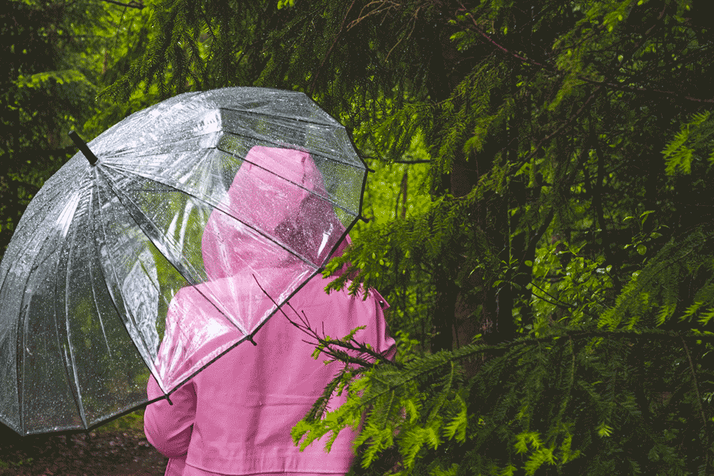 Wetter, in Venetien Zustand der „Vorsicht“ für starken Wind und Frost