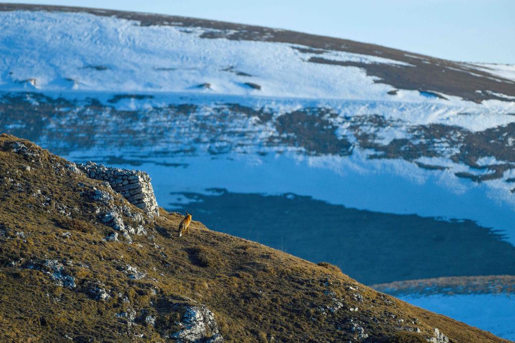 In der Malga Moscarda wurde die Ausstellung mit Panarottos Bildern von Lessinia eröffnet