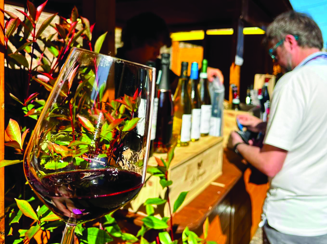 Borghi diVino 2024 war ein voller Erfolg