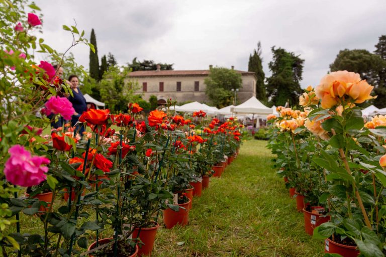 Vom 16. bis 18. März kehrt „Franciacorta in Fiore“ nach Bornato zurück
