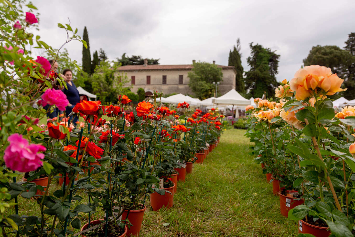 Vom 16. bis 18. März kehrt „Franciacorta in Fiore“ nach Bornato zurück