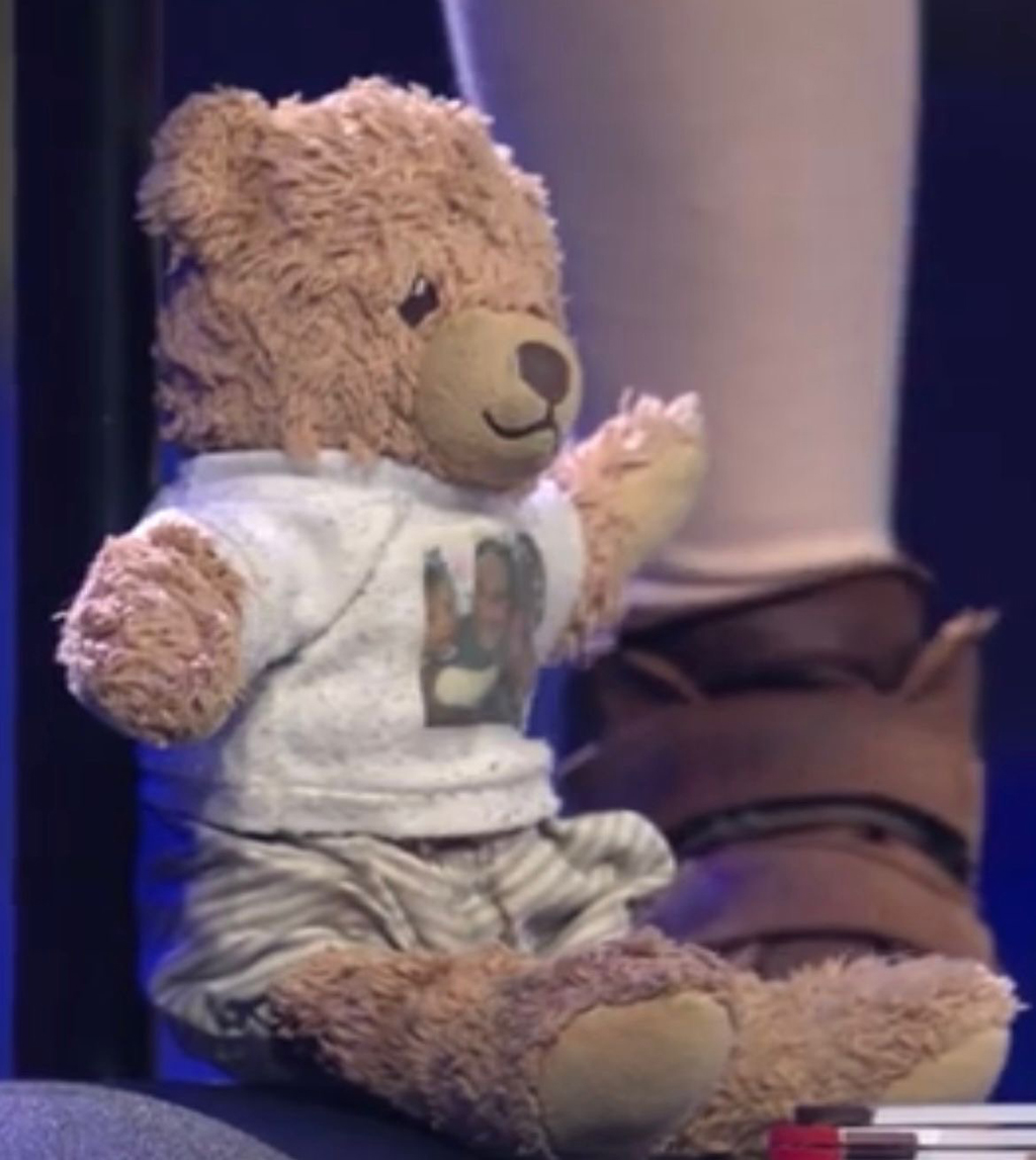 Teddy Schnupsie gesucht Teddy