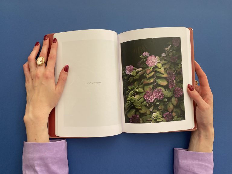 Sirmione Photo Residency 2024: Venature – ein Porträt der Natur