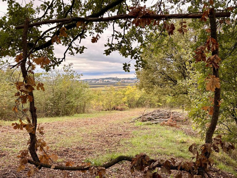 Ungewöhnliche Initiative in Valeggio: zwei Tage im Zeichen der Kunst, Kultur und Gesundheit