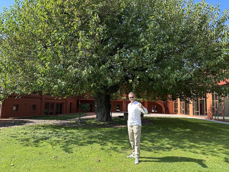 Valtènesi Rosè – wo Rosè seine Heimat gefunden hat