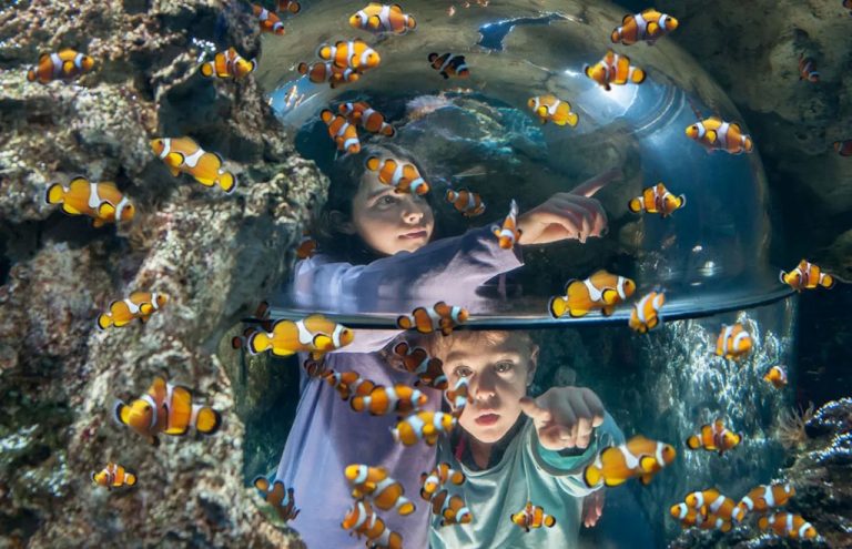 Ein freundlicher November im Gardaland Sea Life Aquarium in Castelnuovo